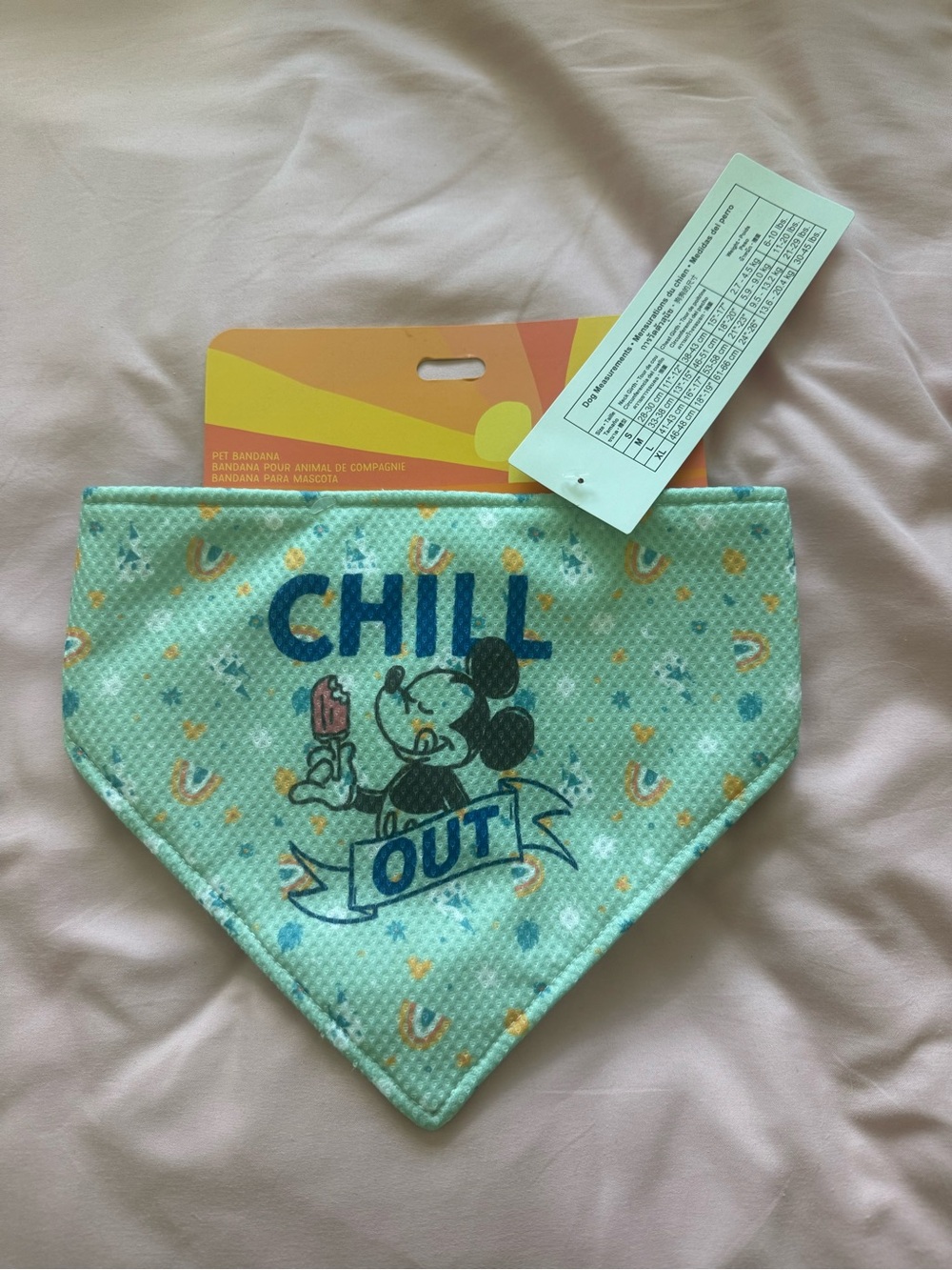 Disney Light Teal "Chill Out" Bandana Bib with Mickey Print